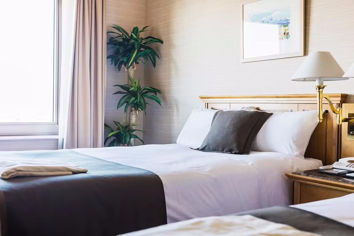 Semi Room, Suite, 2 Semi Double Beds
