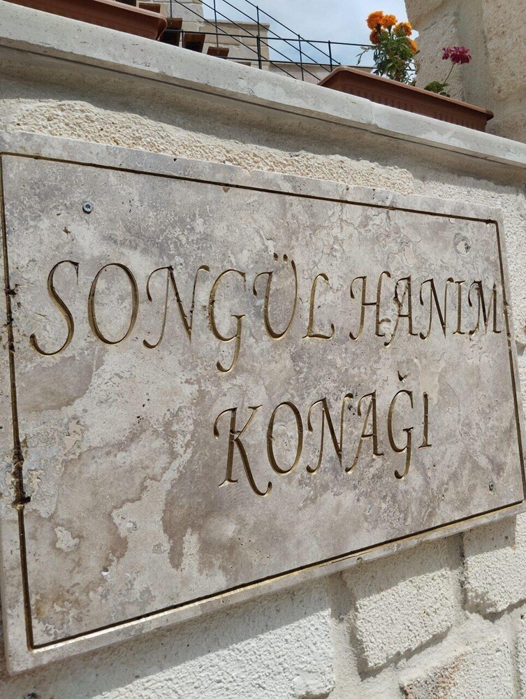 Songul Hanim Konagi 2/13