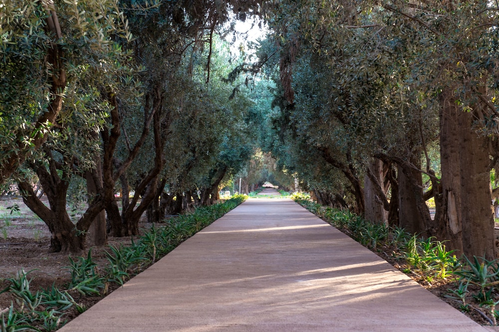 The Oberoi Marrakech 62/66