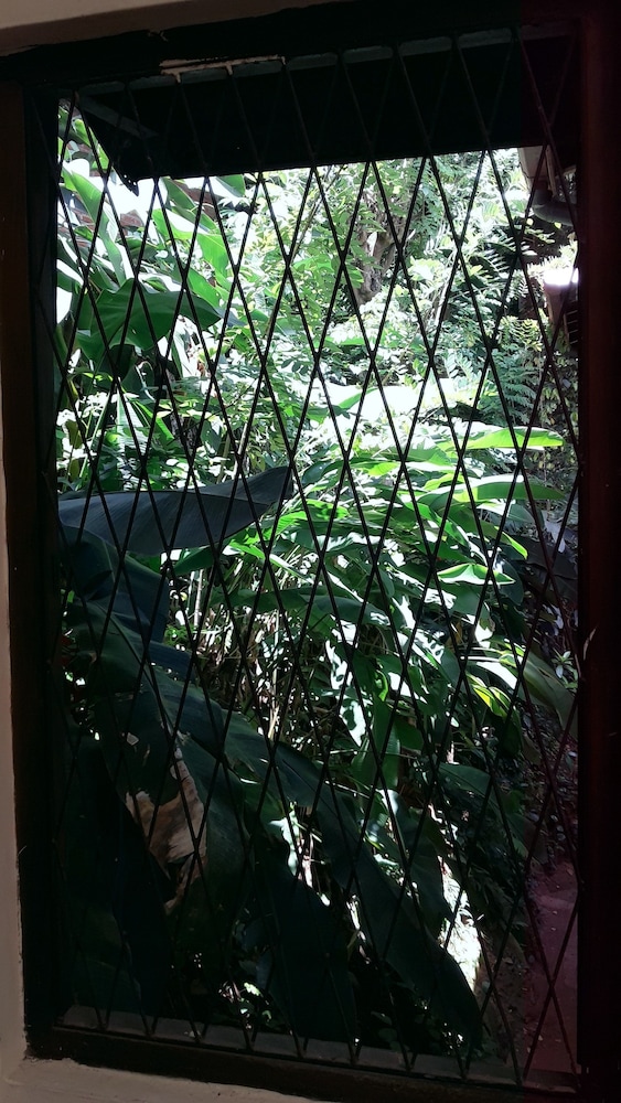Tree Breeze Inn 13/28