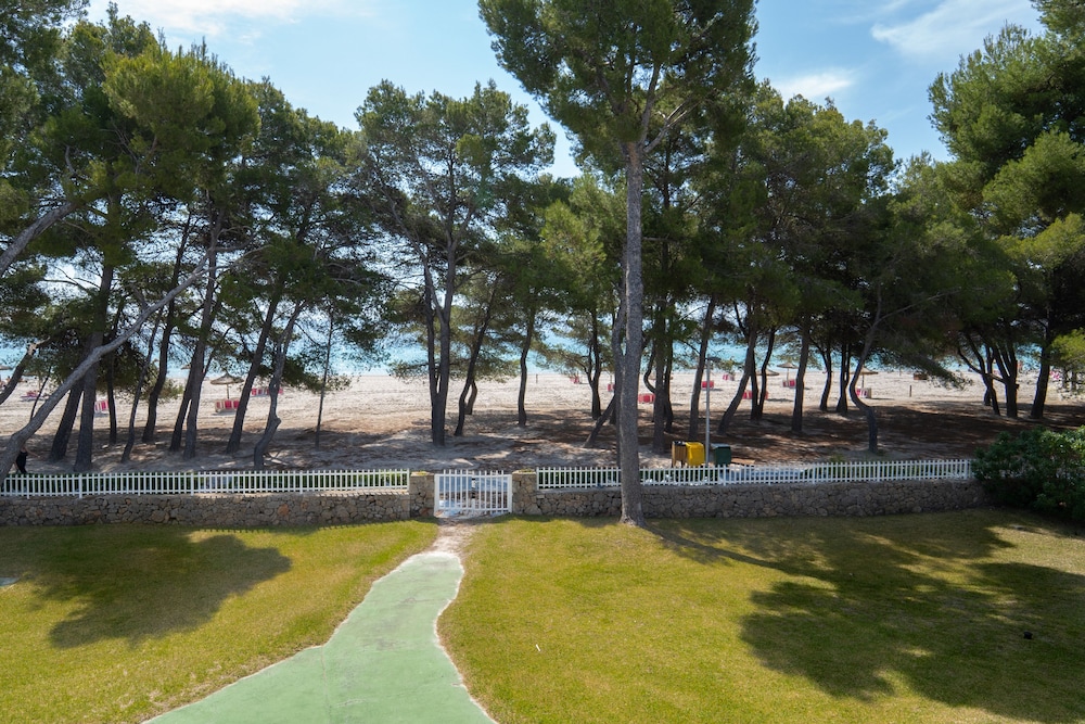 Ferrer Lime Playa de Alcudia 31/47