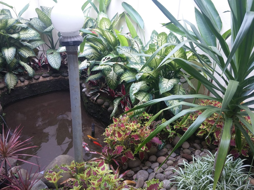 Gio Guesthouse Bogor 23/33