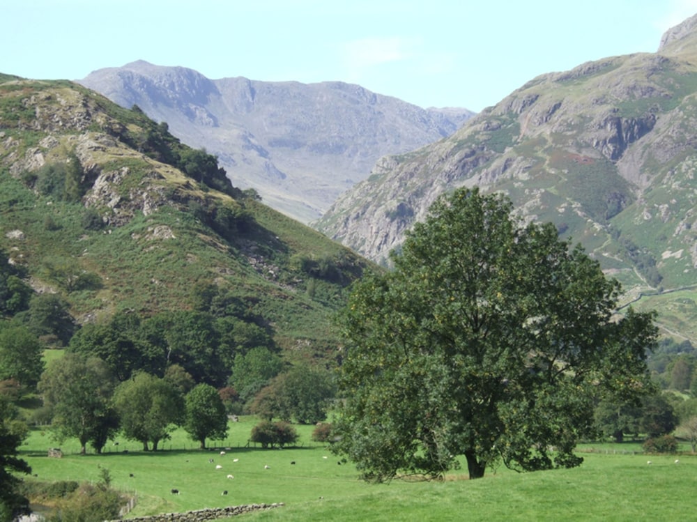 New Dungeon Ghyll Hotel 28/31