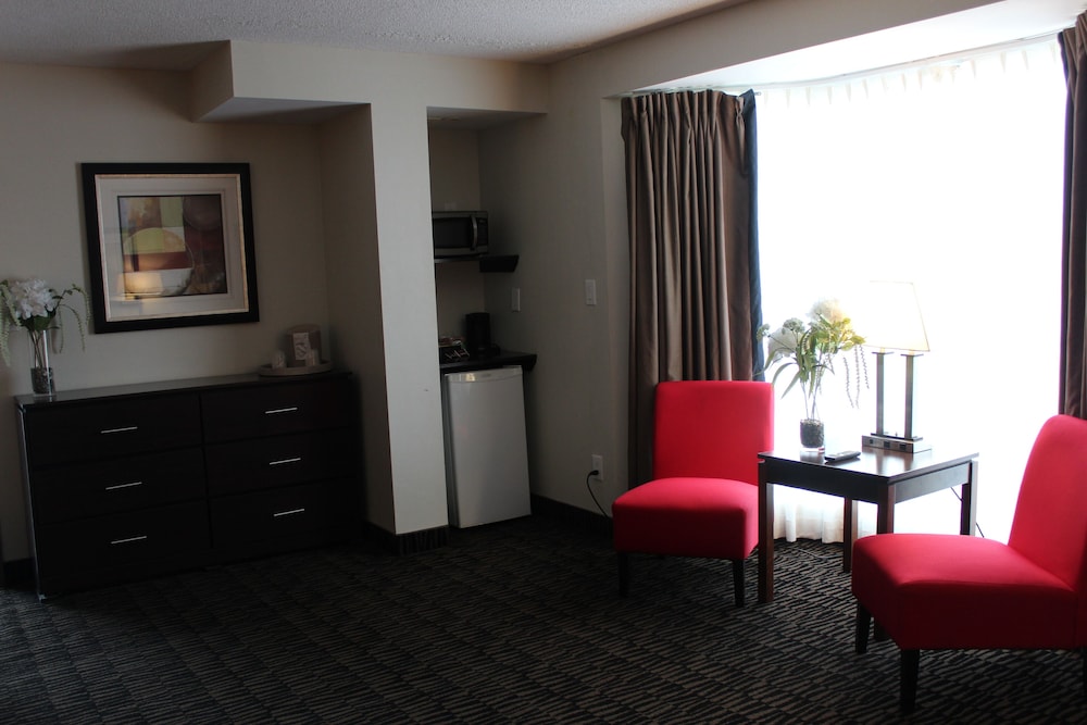Ramada Plaza By Wyndham Niagara Falls 60/79