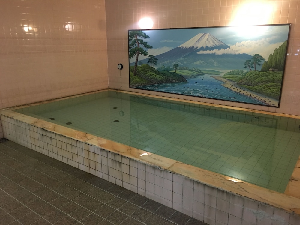 Tokyo Business Hotel 23/50