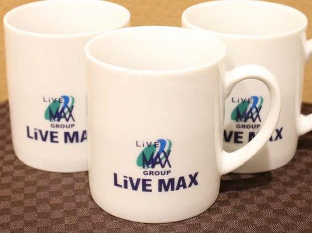 Hotel Livemax BUDGET miharaekimae 32/50