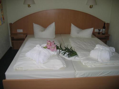 Goldener Karpfen Hotel 24/46