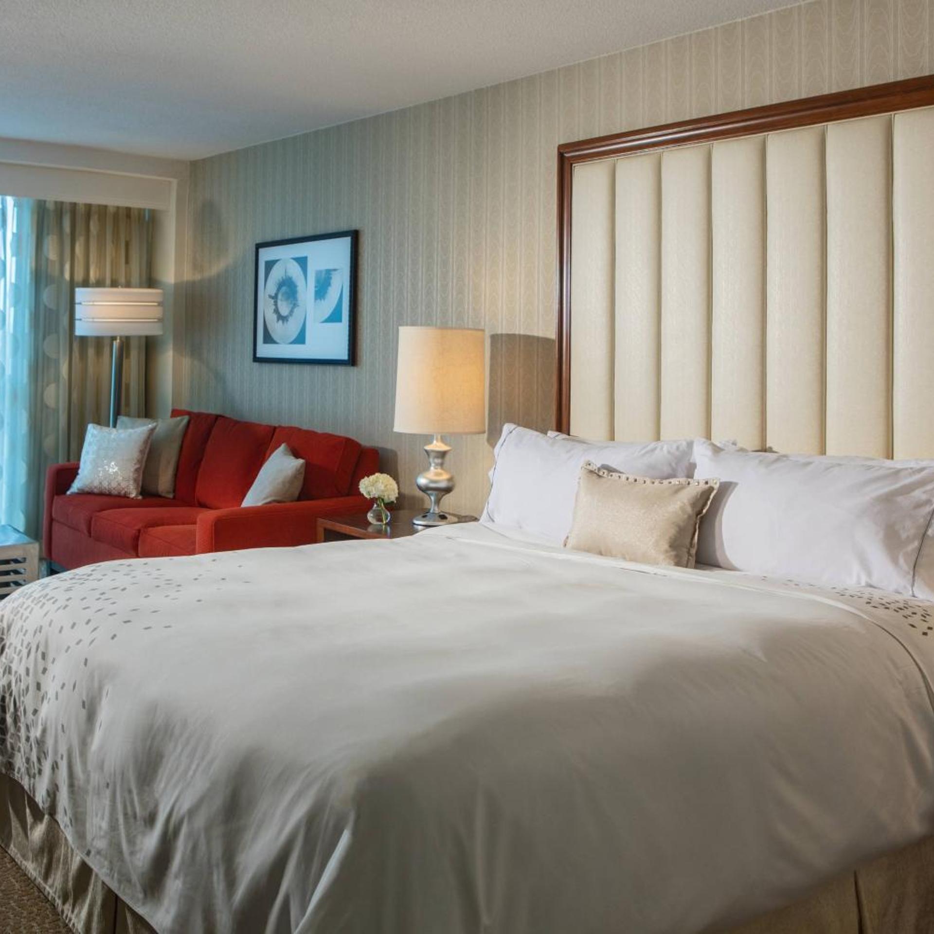 Superior, King Bed