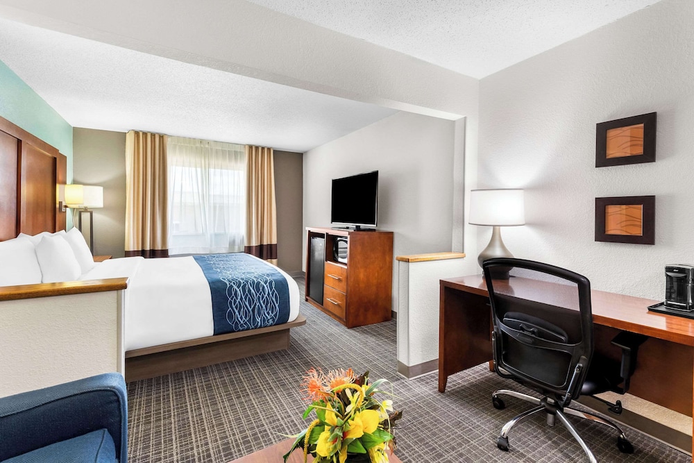 Comfort Inn Marion 54/60