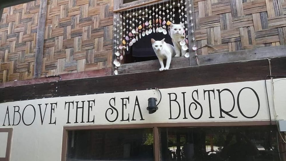 Above The Sea Guesthouse 6/50