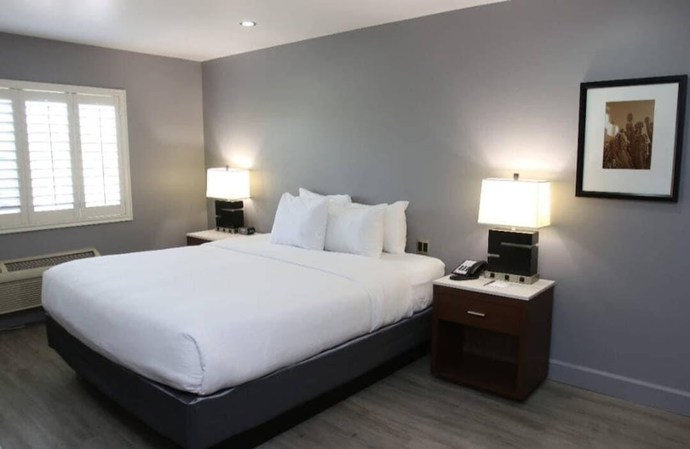 BASIC, SUITE, KING BED