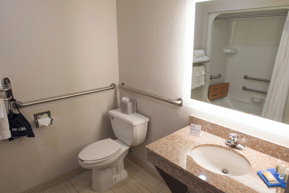 Holiday Inn Express Hotel And Suites Elkhart South 67/70