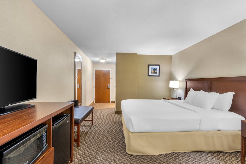Suite, King Bed, Sofa