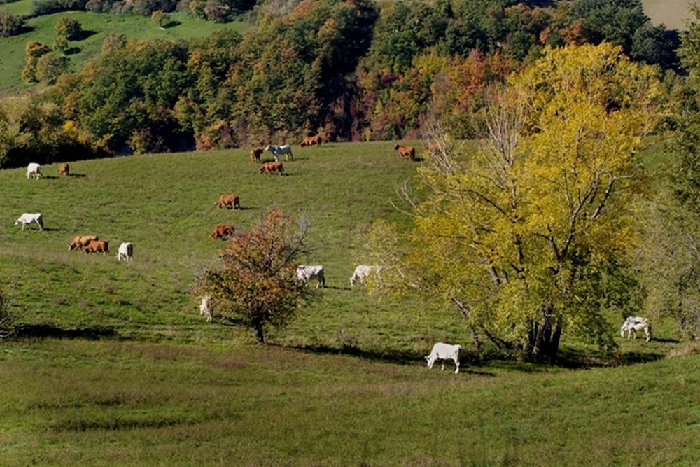 surroundings