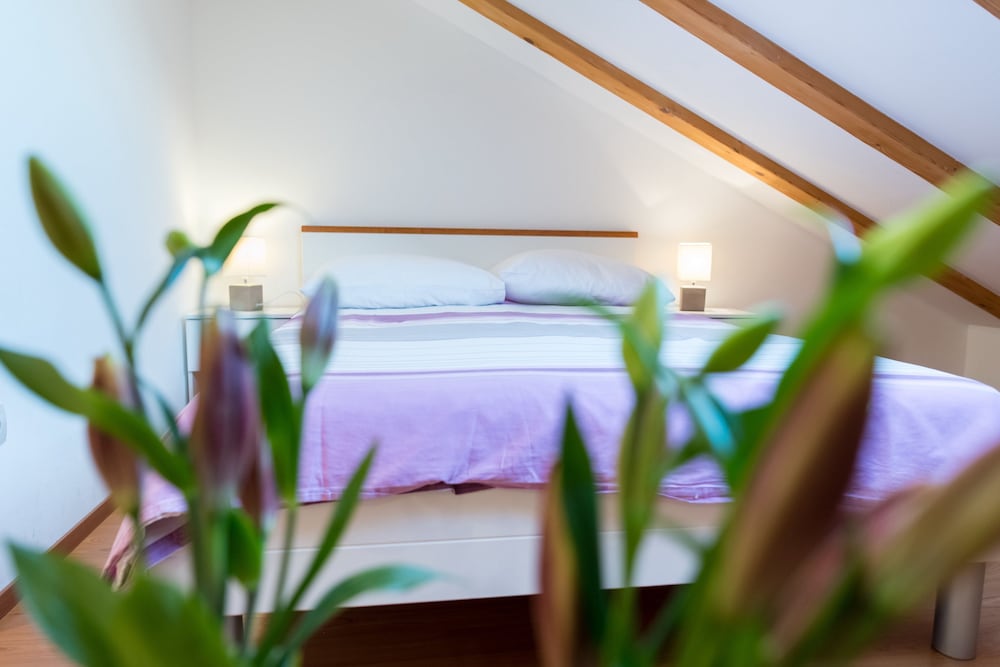 Rooms Raic 28/43