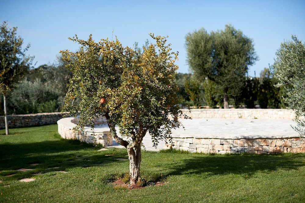 MASSERIA GRIECO 56/60