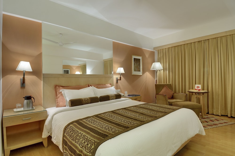 Pride Plaza Hotel Ahmedabad 14/36