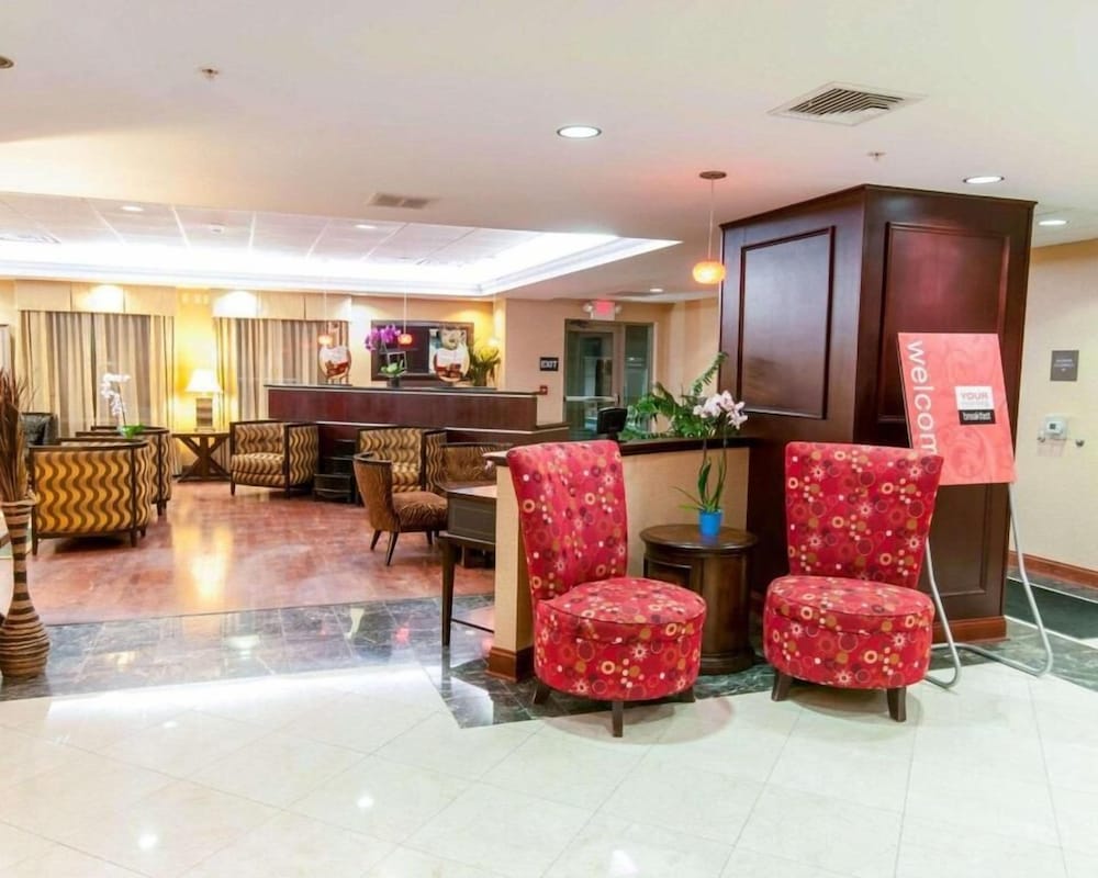 Spark by Hilton Exton 5/38