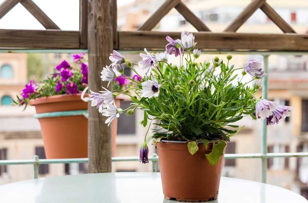 Prati Resort Guesthouse 32/50