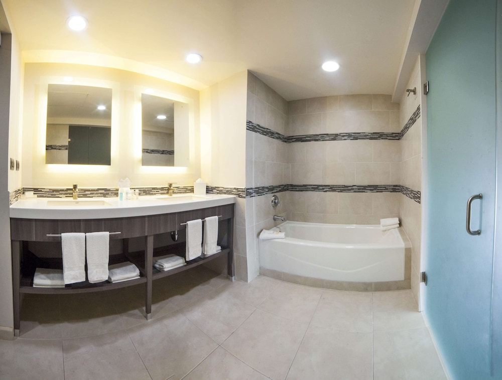 Hampton Inn Suites By Hilton Aguascalientes Airport 25/58