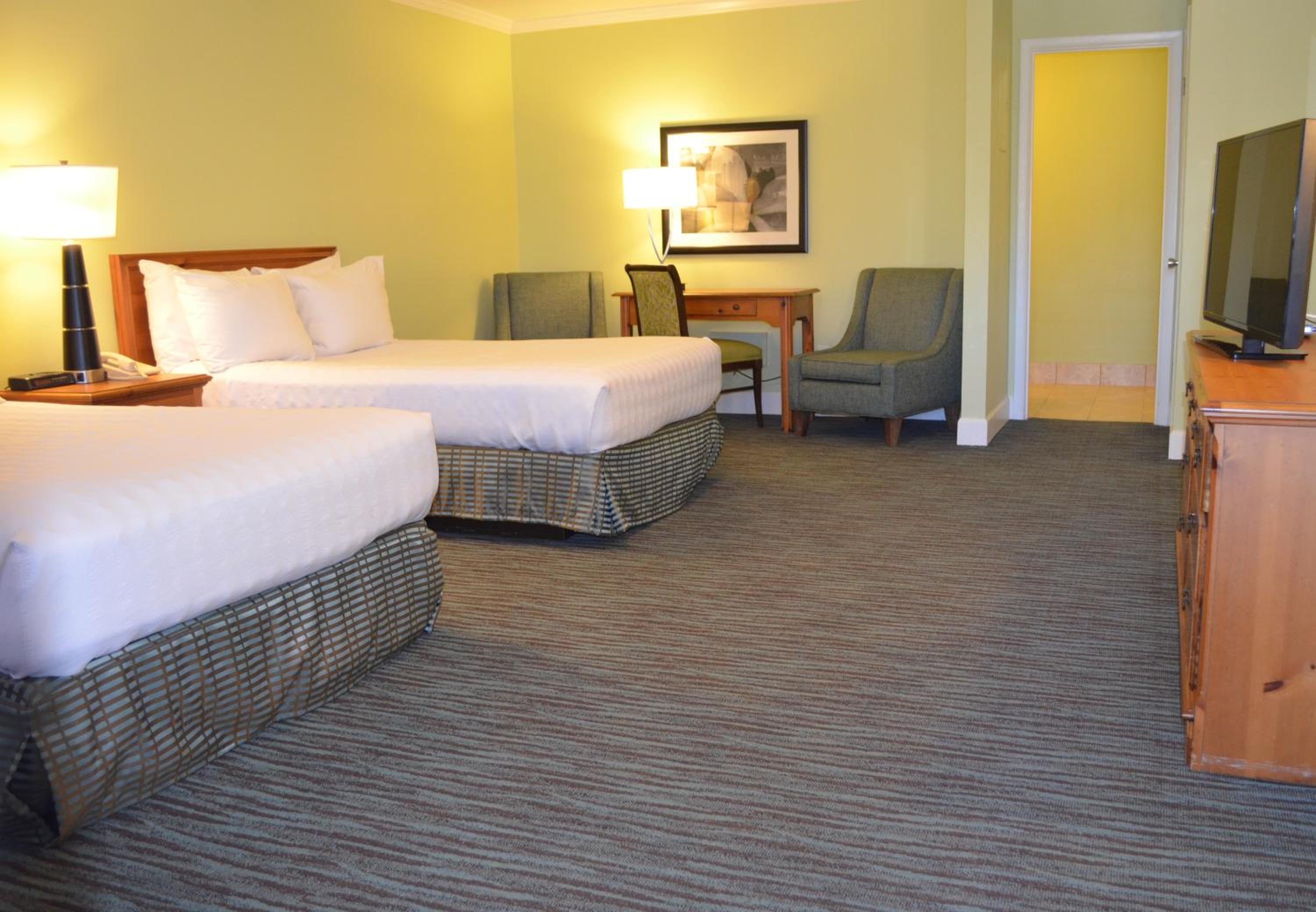 Deluxe, Double Bed, Kitchen