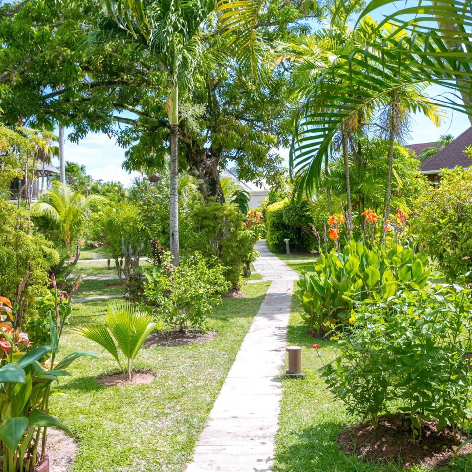 Les Lauriers Eco Hotel 39/50