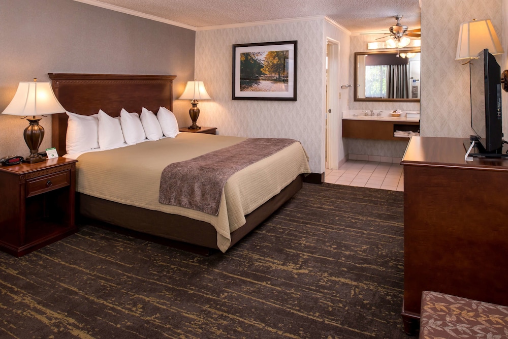 Best Western Plus Black Oak 21/76