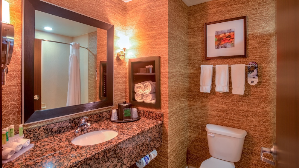 Holiday Inn Express Hotel Suites Elk City 33/51