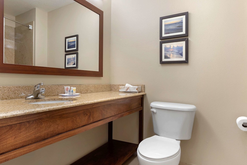 Comfort Inn and Suites Port Arthur Port Neches 32/33