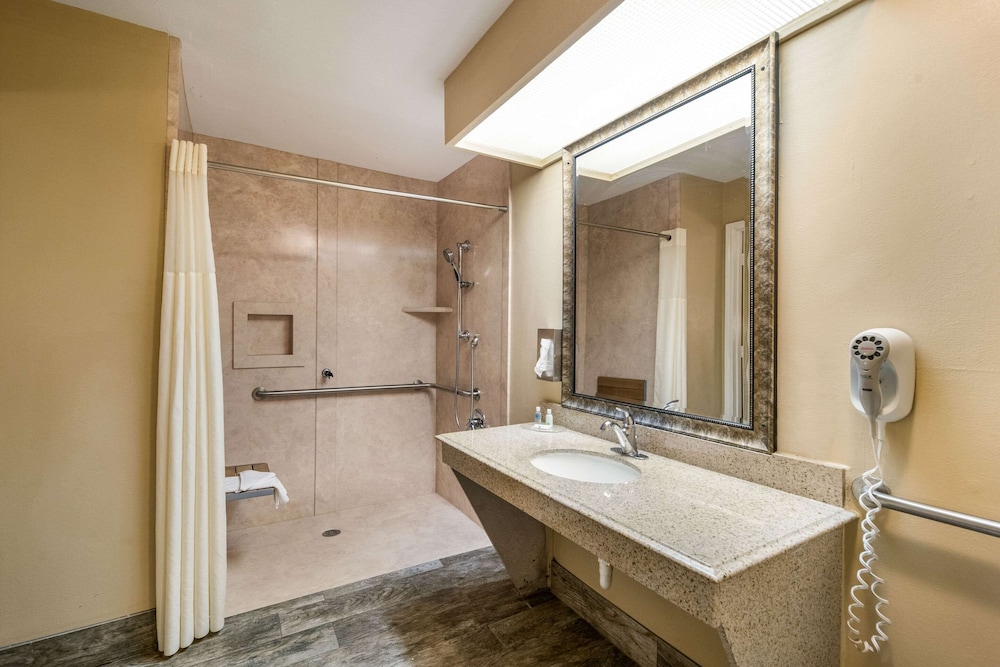 Quality Inn Suites Garland East Dallas 23/56