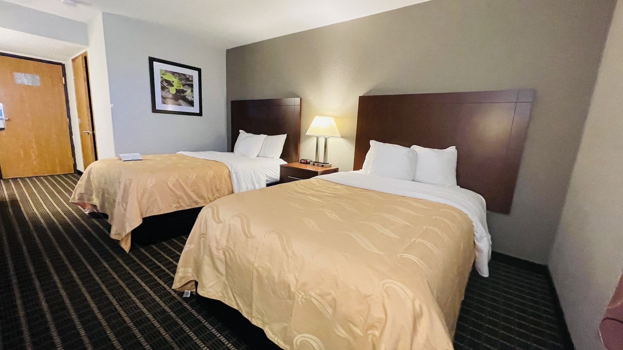غرفة بسريرين مزدوجين لذوي الإعاقة، Sleep Inn & Suites Madison West 4/6