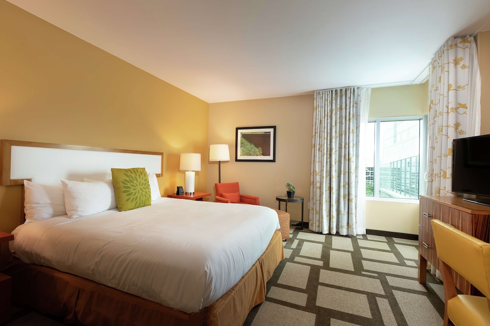 Embassy Suites by Hilton Houston Downtown 19/71