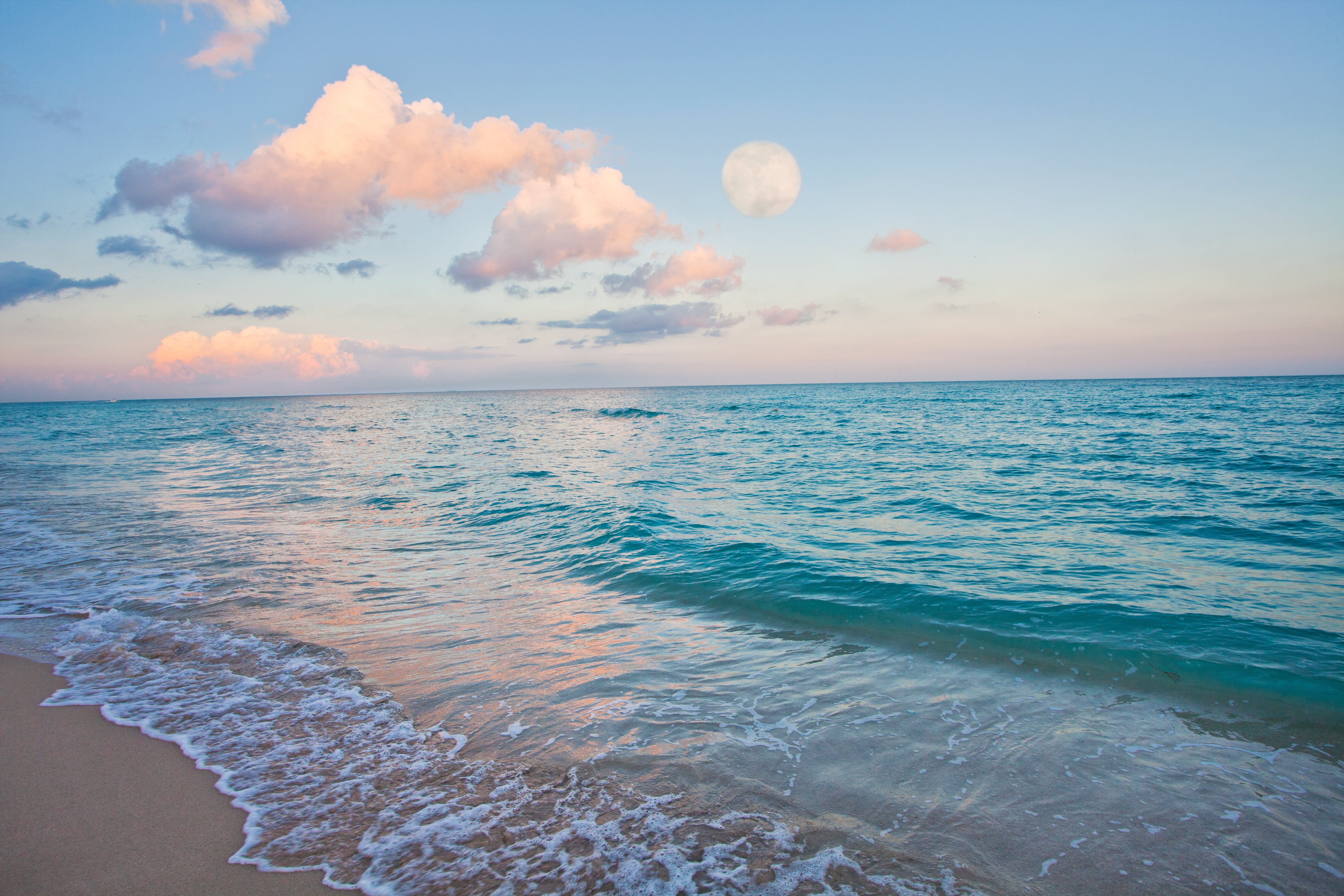 Holiday Inn Miami Beach Oceanfront Hotel 67/71