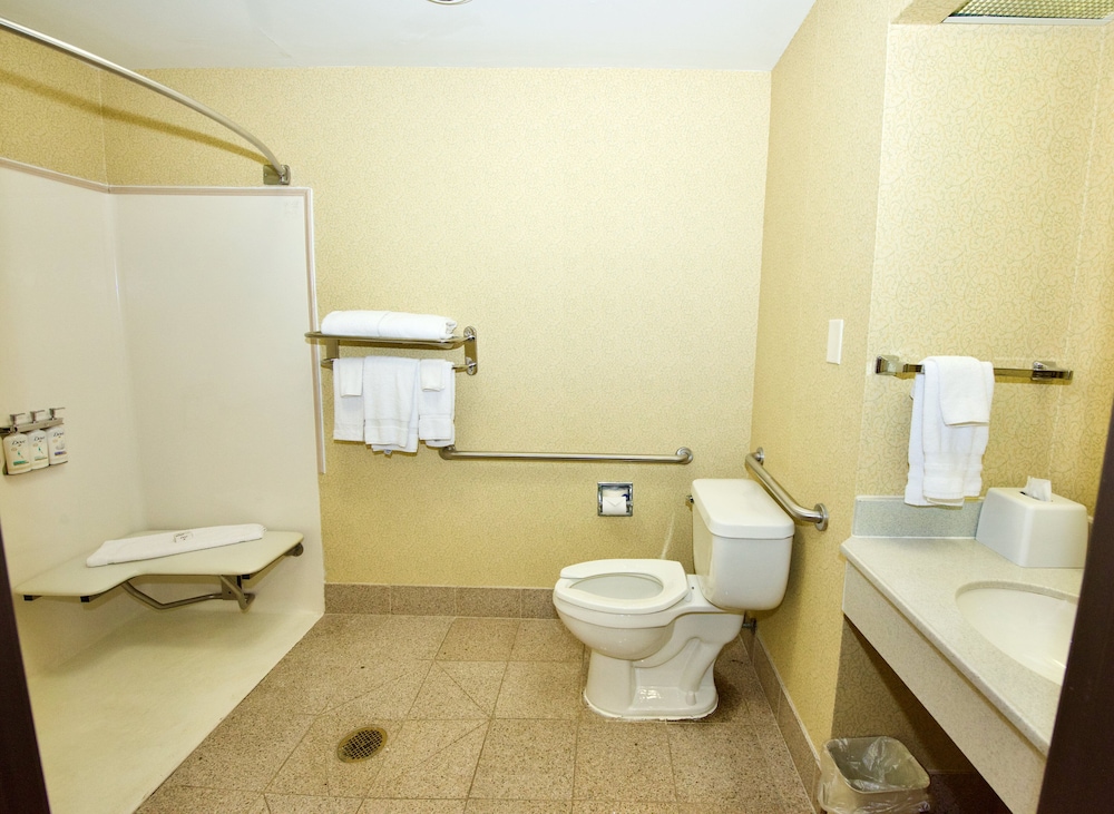 Holiday Inn Express Suites St Louis West Fenton 64/65