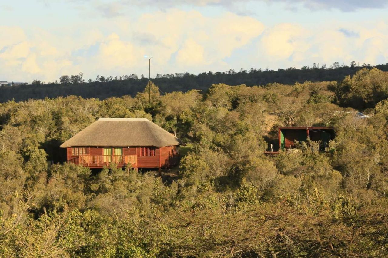 Horseshoe Game Reserve 26/47