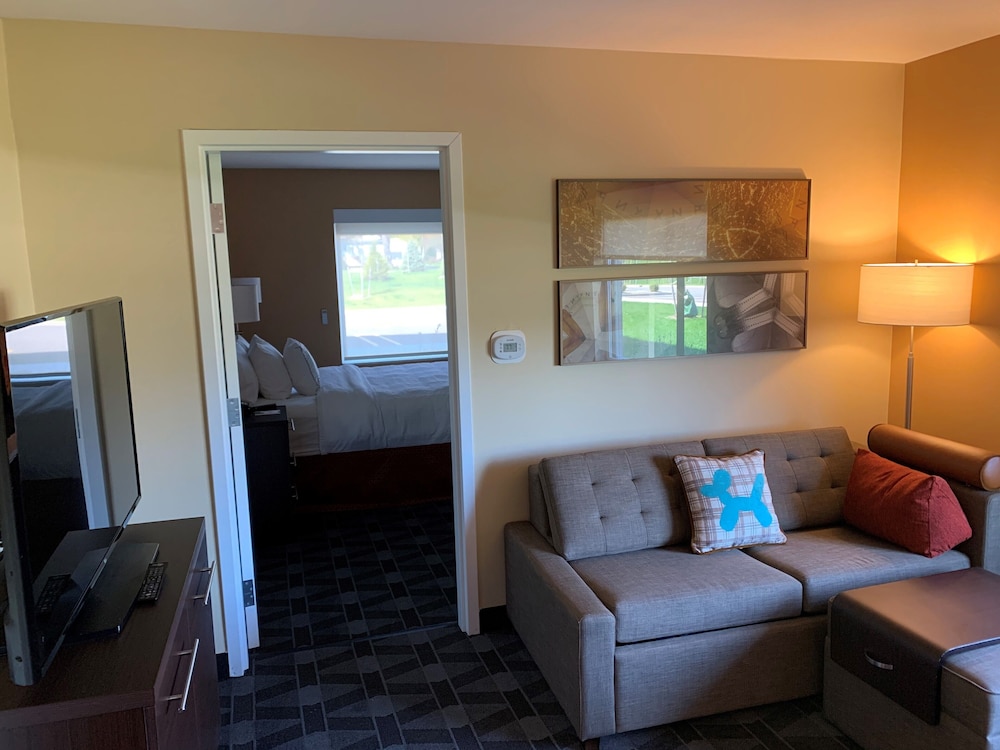 TownePlace Suites Detroit Belleville 31/50