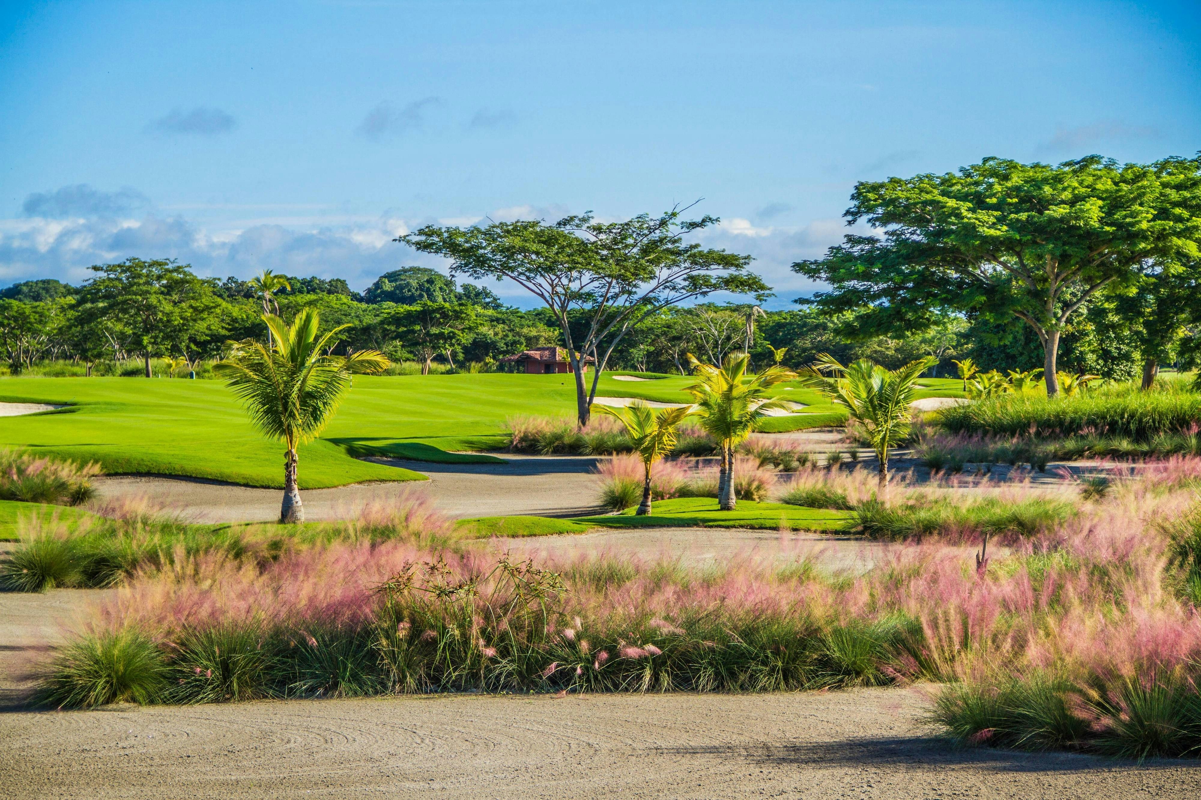 The Buenaventura Golf & Beach Resort Panama, Autograph Collection 78/79