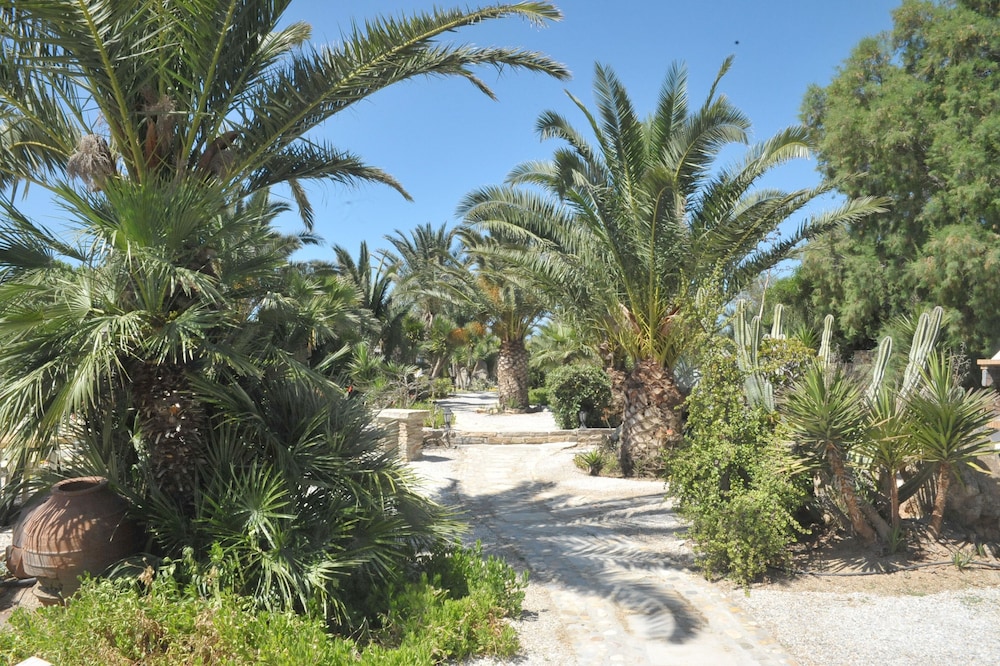 Medusa Beach Resort And Suites in Plaka (South Aegean)