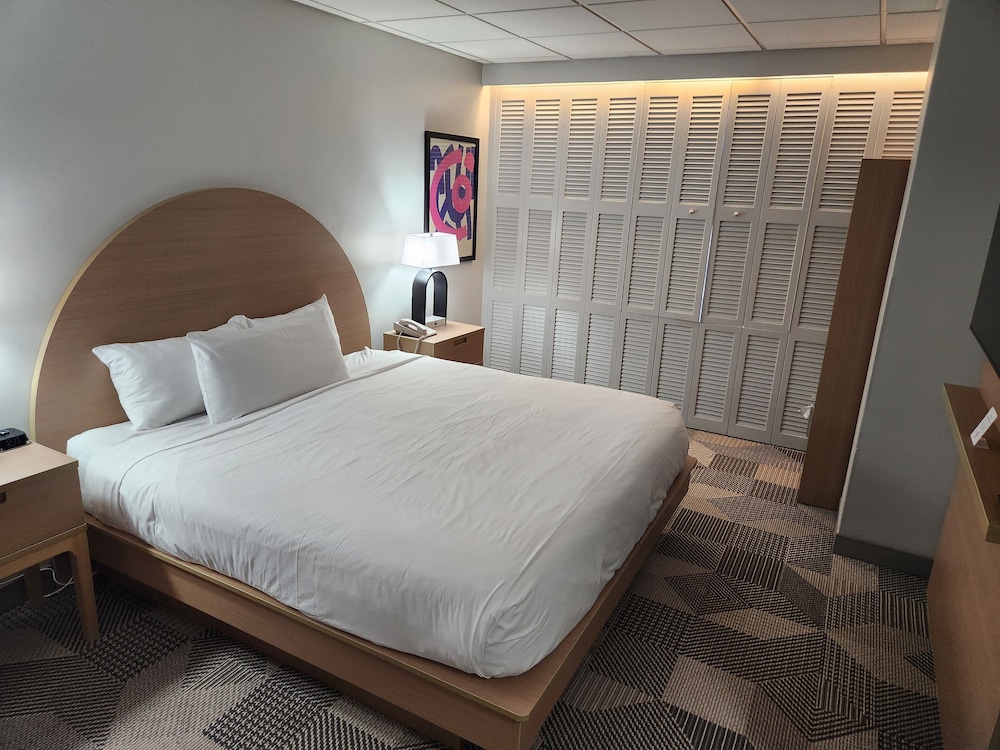 Standard Queen Room with One Queen Bed