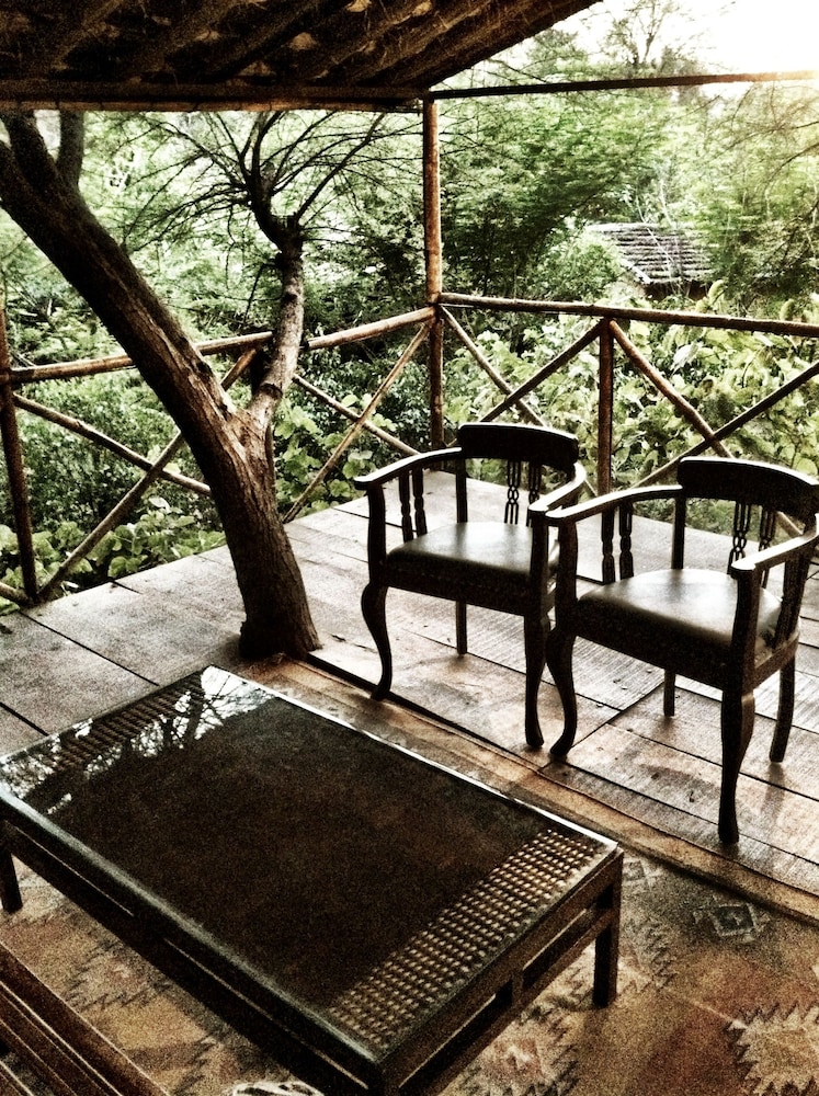 The Tree House Resort 15/35