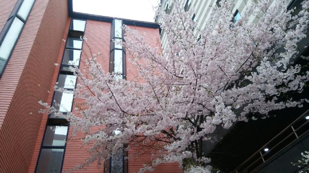Oppa Hostel 5/50