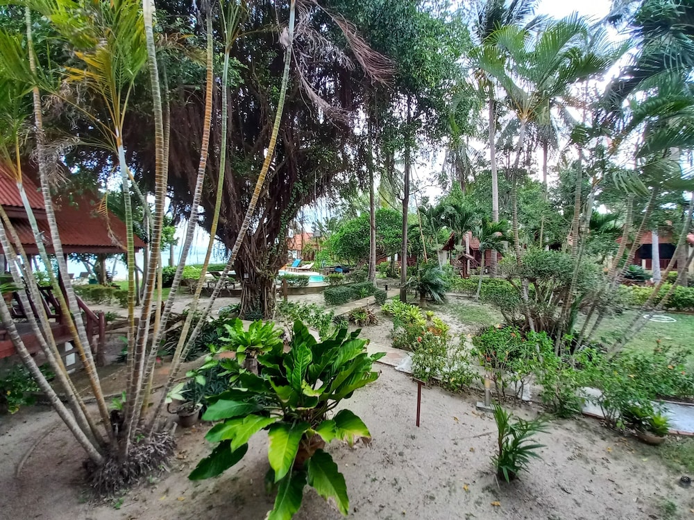 Morning Star Resort 44/50