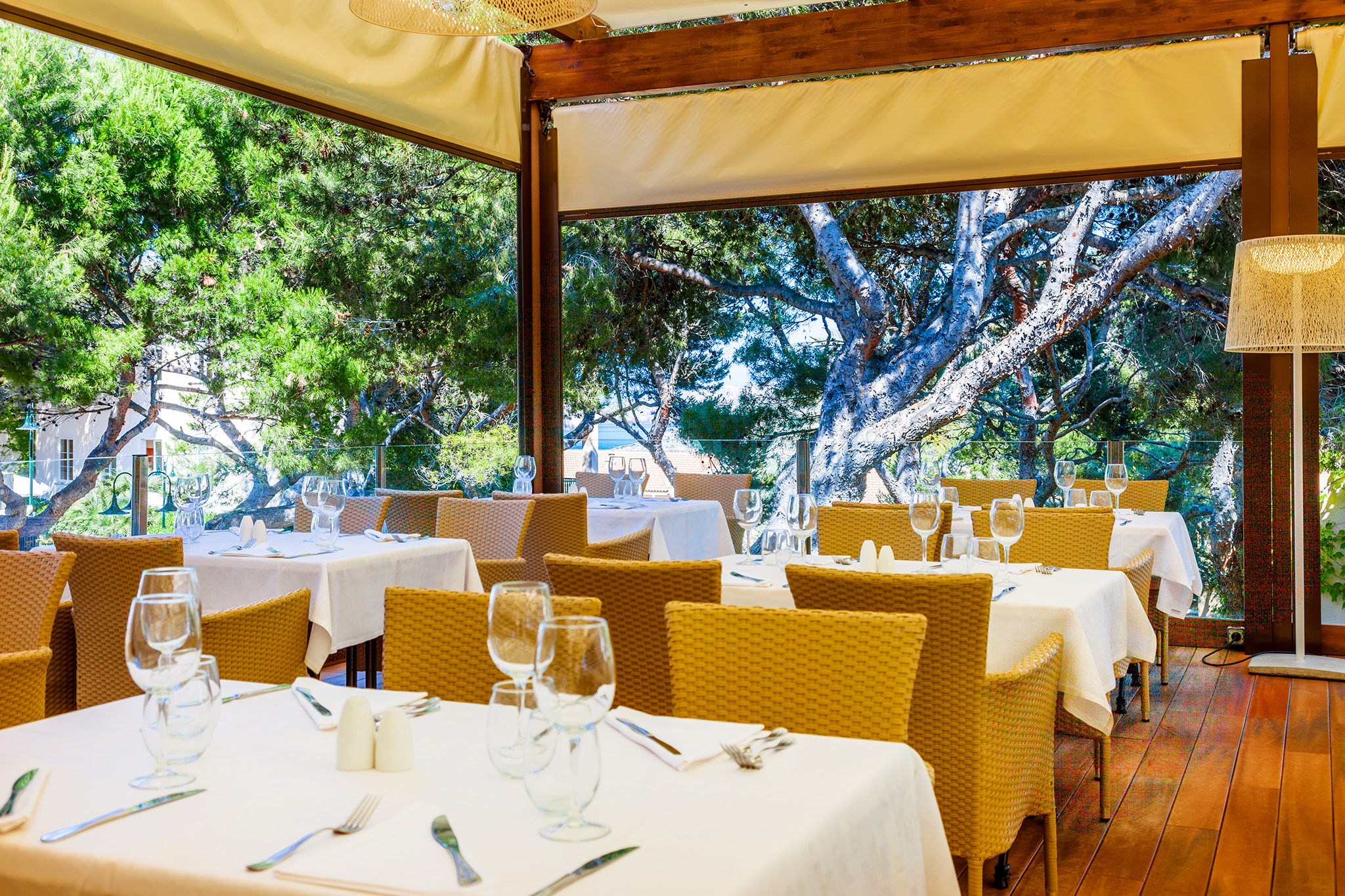 Viva Cala Mesquida Resort and Spa 80/99