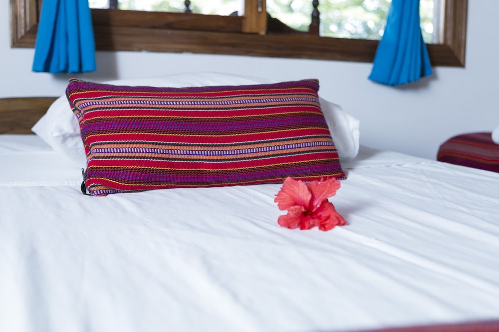 La Isla Inn Hotel 10/52