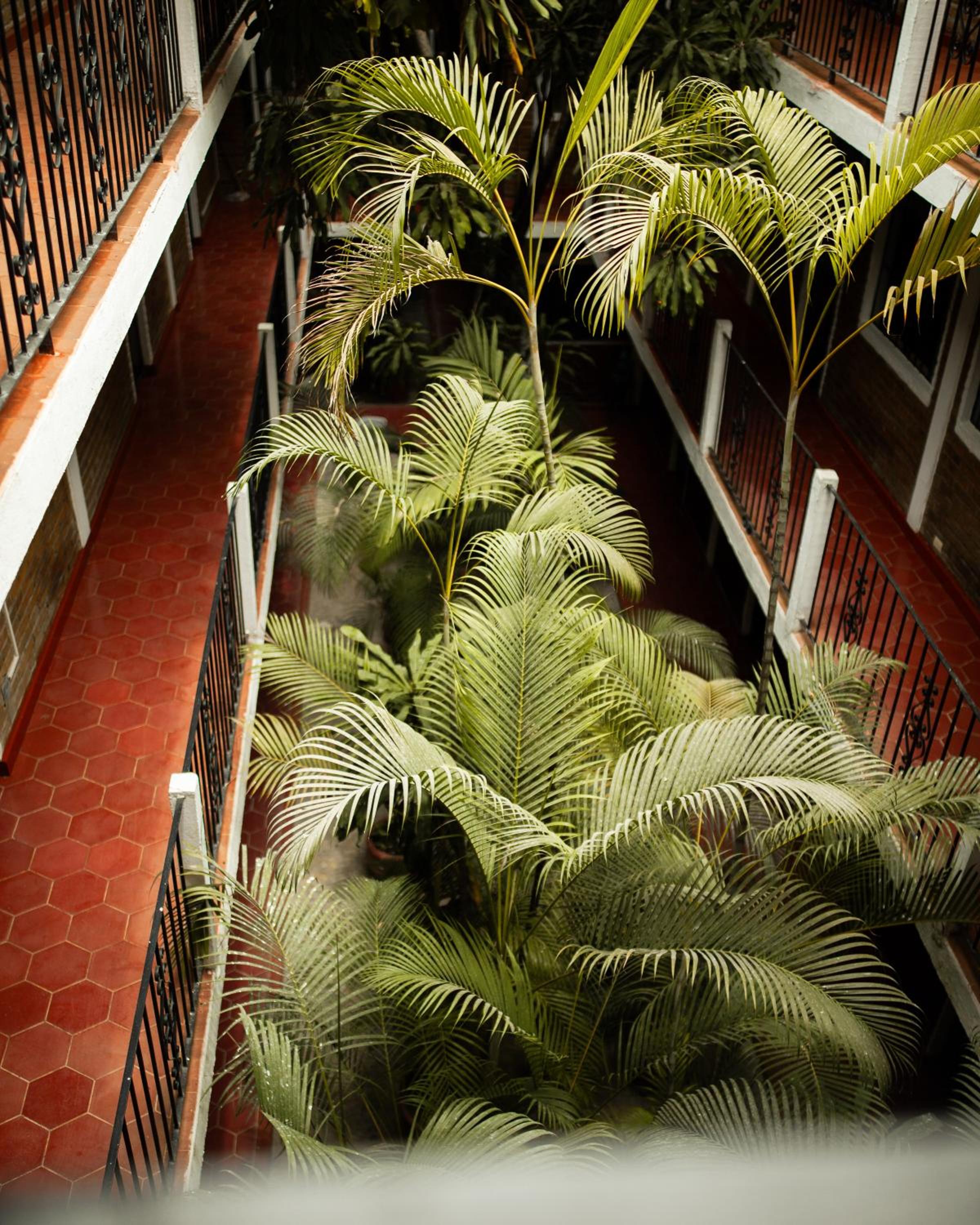Hotel Azteca 14/26