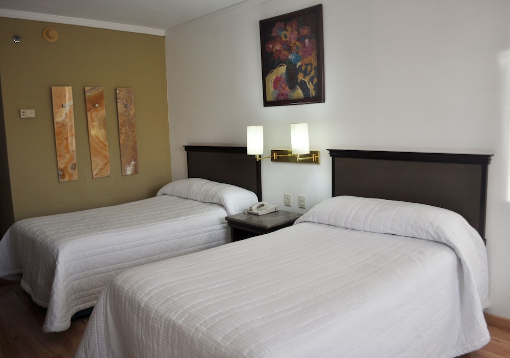 Hotel Arroyo de la Plata Zacatecas 13/64