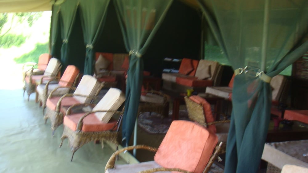The Nubian In The Mara 12/31