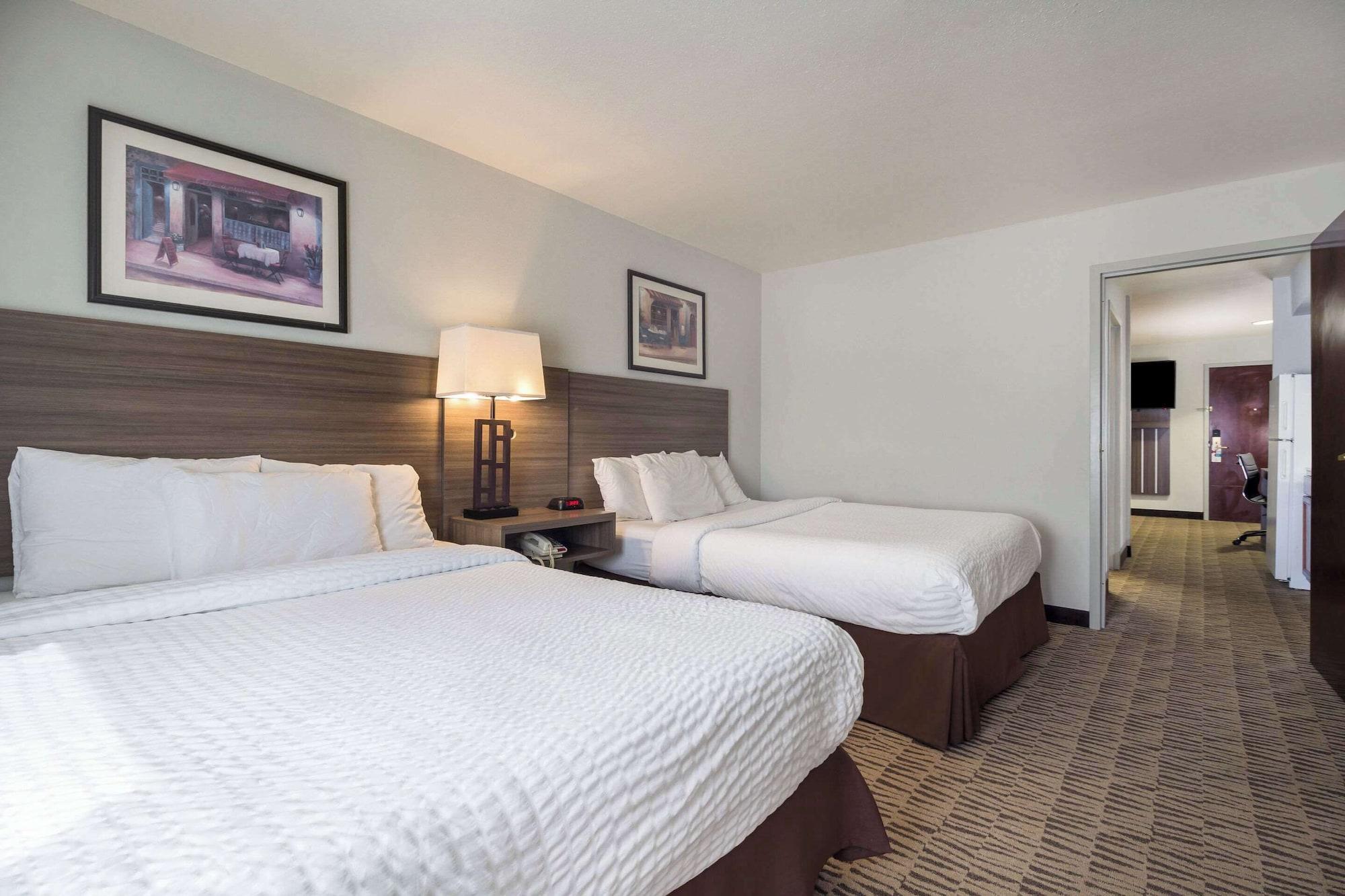 Suite, Multiple Beds
