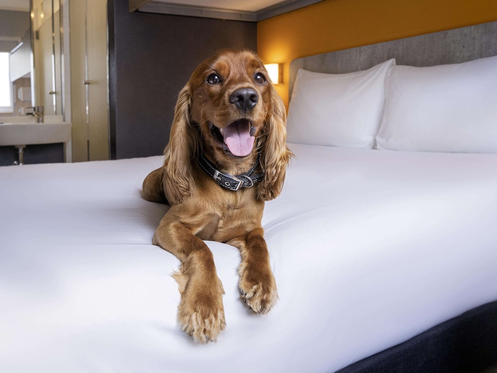 ibis Budget Lima Miraflores 25/49