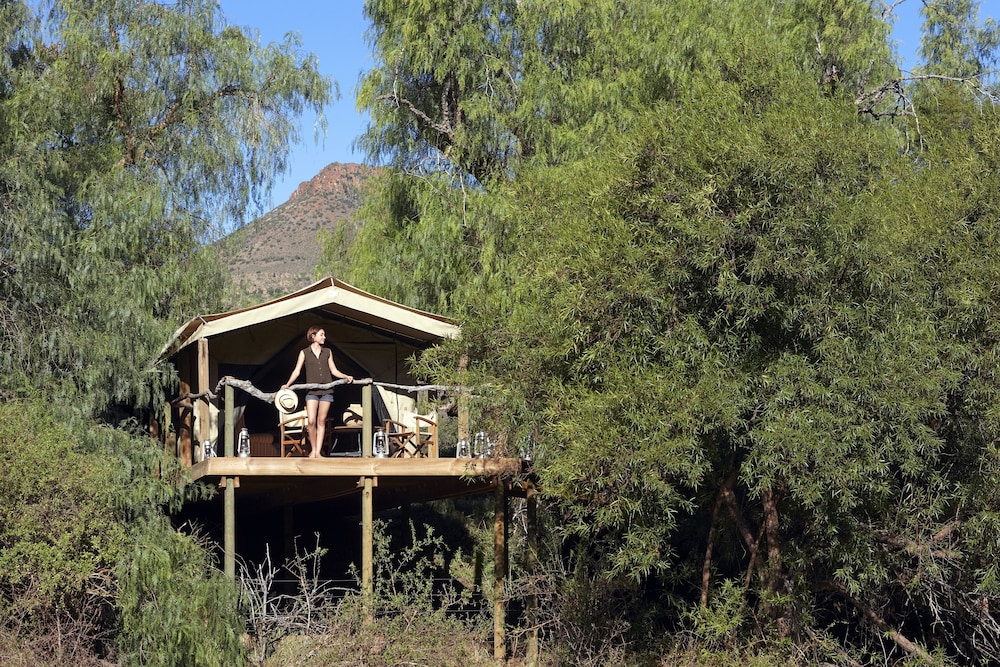 Mount Camdeboo Private Game Reserve 22/36